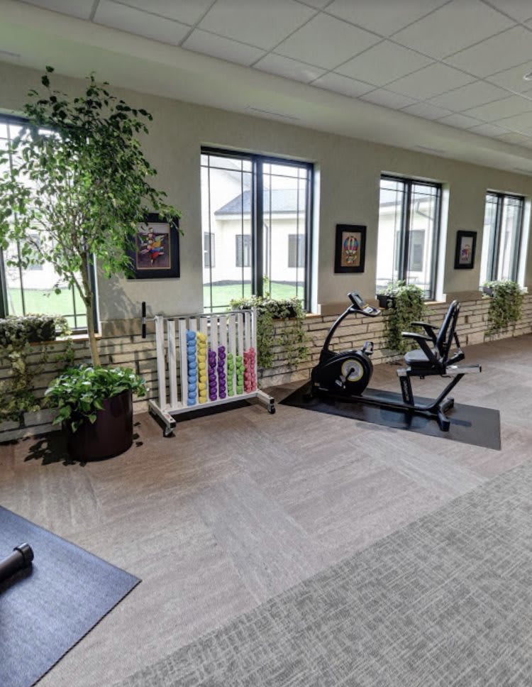 A well-lit indoor gym space with exercise equipment and decorative plants.