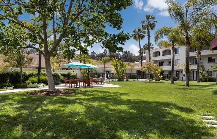 A sunny outdoor garden area with a lawn, trees, and seating arrangements under an umbrella near a building.