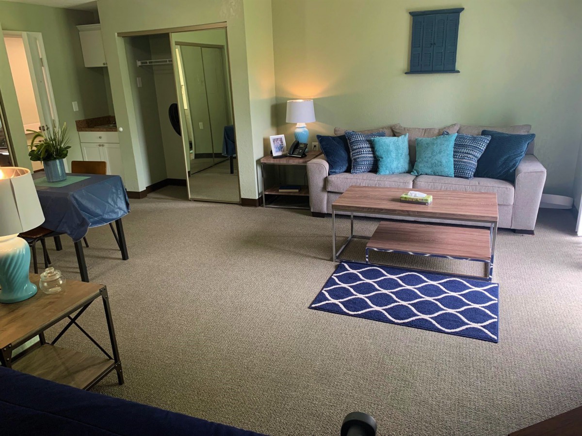 A cozy living room featuring a sofa with decorative cushions, a coffee table, and stylish rugs.