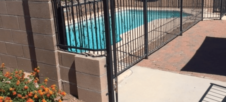 A swimming pool is enclosed by a secure fence and gate.