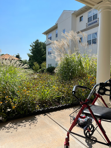 A sunny outdoor view with a garden and a wheelchair resting on the patio.