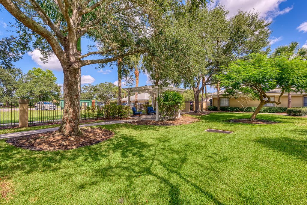 A lush, green outdoor scene with trees casting shadows on the grass under a sunny sky.