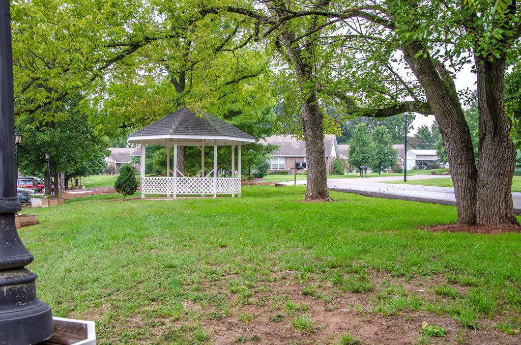 A peaceful park scene featuring a gazebo surrounded by lush greenery and trees.