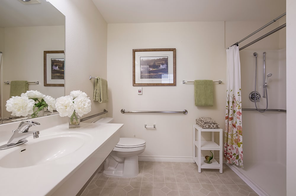 A clean and well-decorated bathroom with a shower, sink, and toilet.