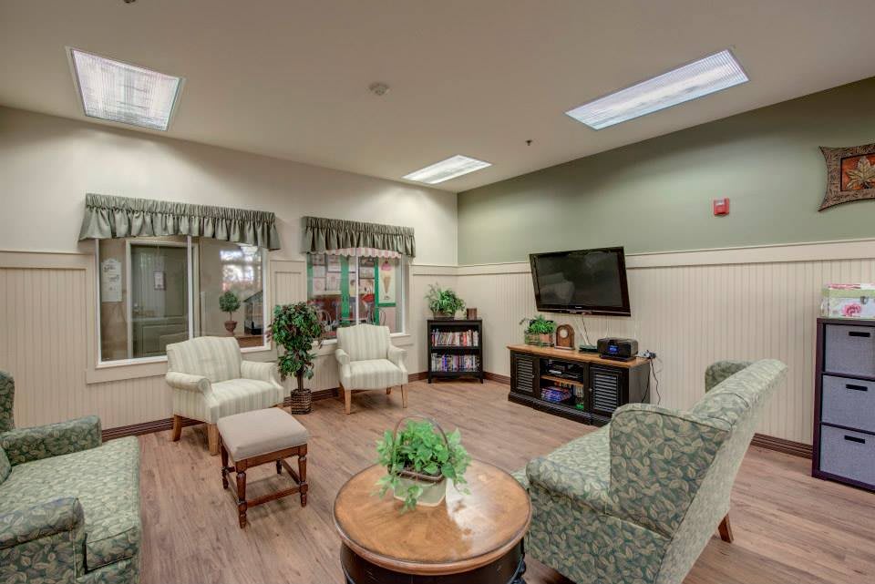 A cozy living room with comfortable seating, a television, bookshelves, and indoor plants.