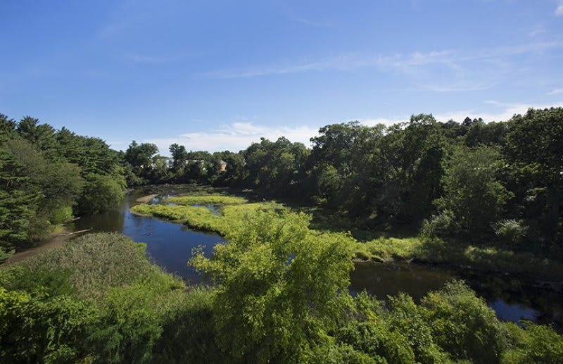 A serene view of a river winding through dense greenery under a clear blue sky.