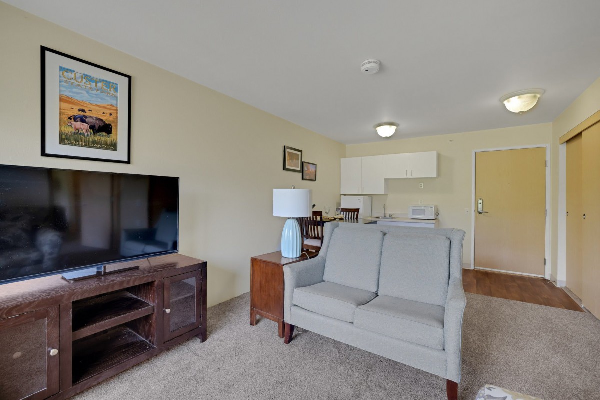 A cozy living room area with a sofa, television, and a small kitchenette in the background.