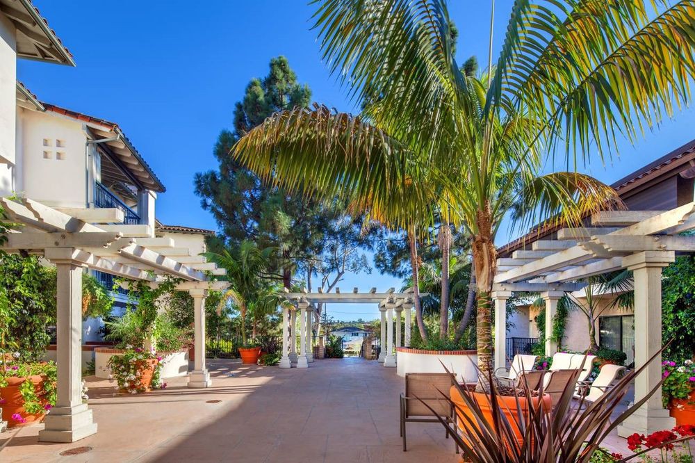 A sunny outdoor garden patio with palm trees and seating areas.