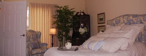 A cozy bedroom with a plant and soft lighting.