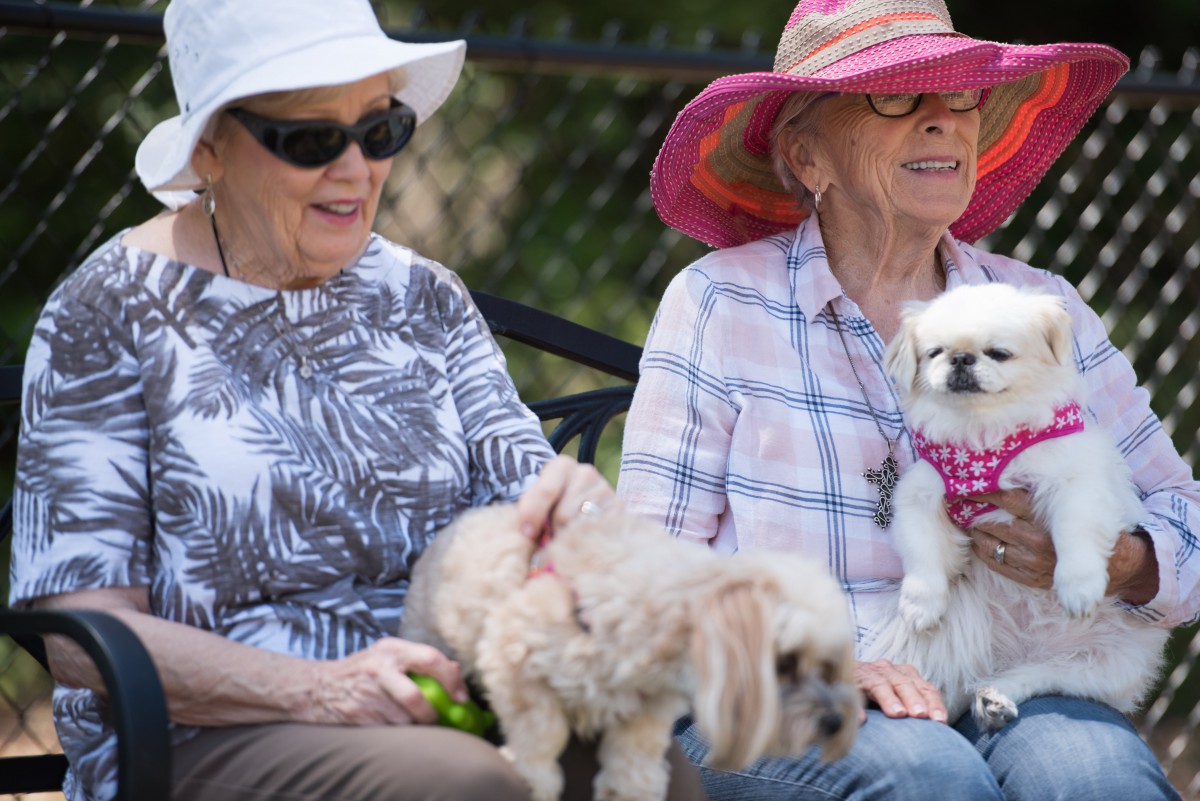 Two elderly women sitting on a bench outdoors, each holding a dog and wearing hats and sunglasses.