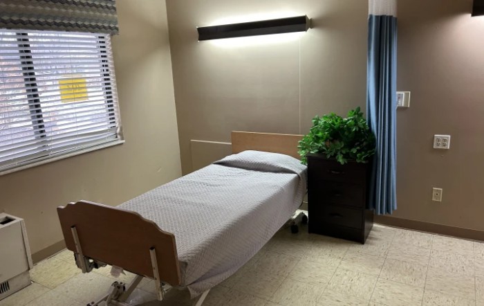A minimalistic hospital room with a single bed and a potted plant.
