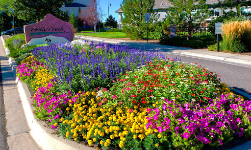 A vibrant display of colorful flowers in a well-maintained garden.