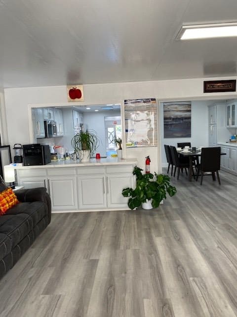 A modern open-plan living and dining space with sleek furniture, wood flooring, and decorative plants.