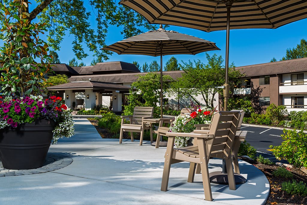 A sunny outdoor patio area with tables, chairs, and umbrellas surrounded by a garden.