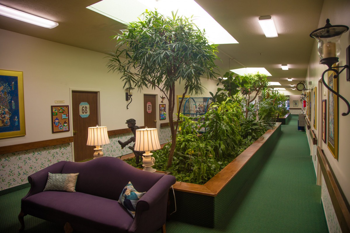 A lounge area with a purple sofa, surrounded by indoor plants and lit by table lamps.