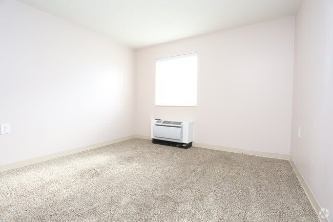An empty room with beige carpet, a window, and a heater.