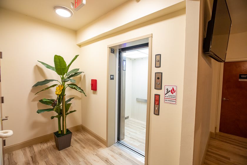 A modern hallway with an open elevator and a potted plant.