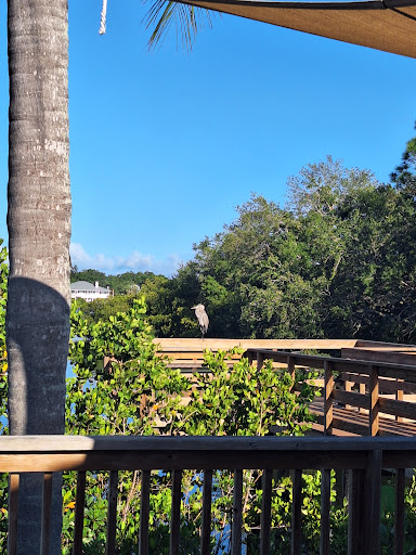 A serene view of a wooden boardwalk surrounded by lush greenery beneath a clear blue sky.