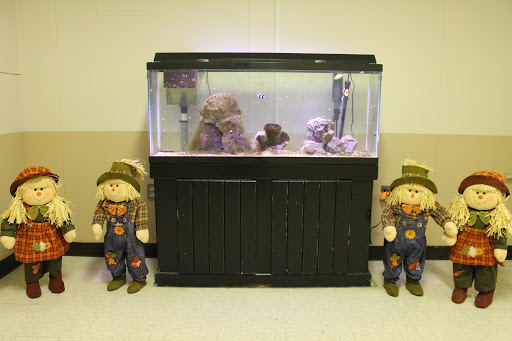 An aquarium setup surrounded by decorative scarecrow figures.