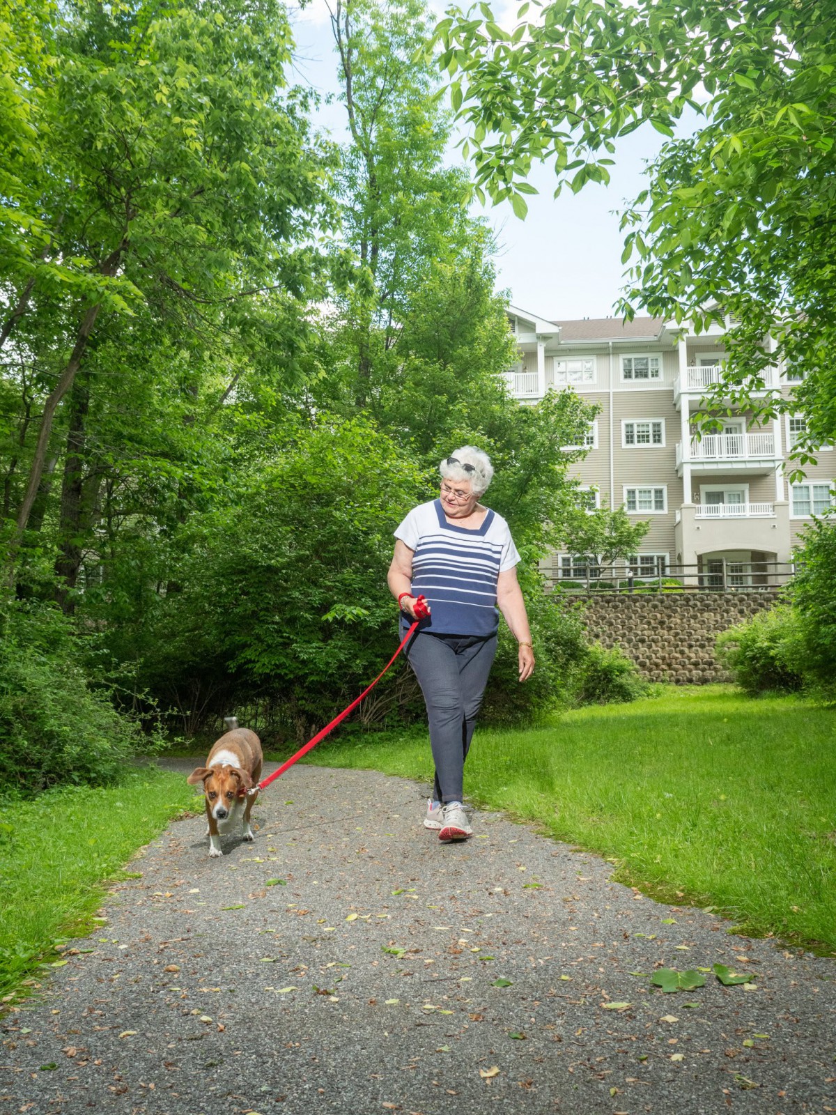 Person walking a dog on a paved path in a park-like setting with trees and a building in the background.
