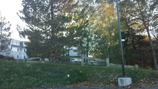A serene autumn scene featuring trees and a building in the background.