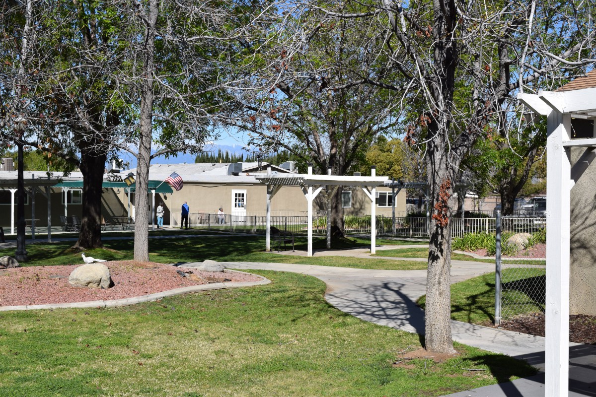A scenic outdoor park area with trees, a pathway, and a pergola.