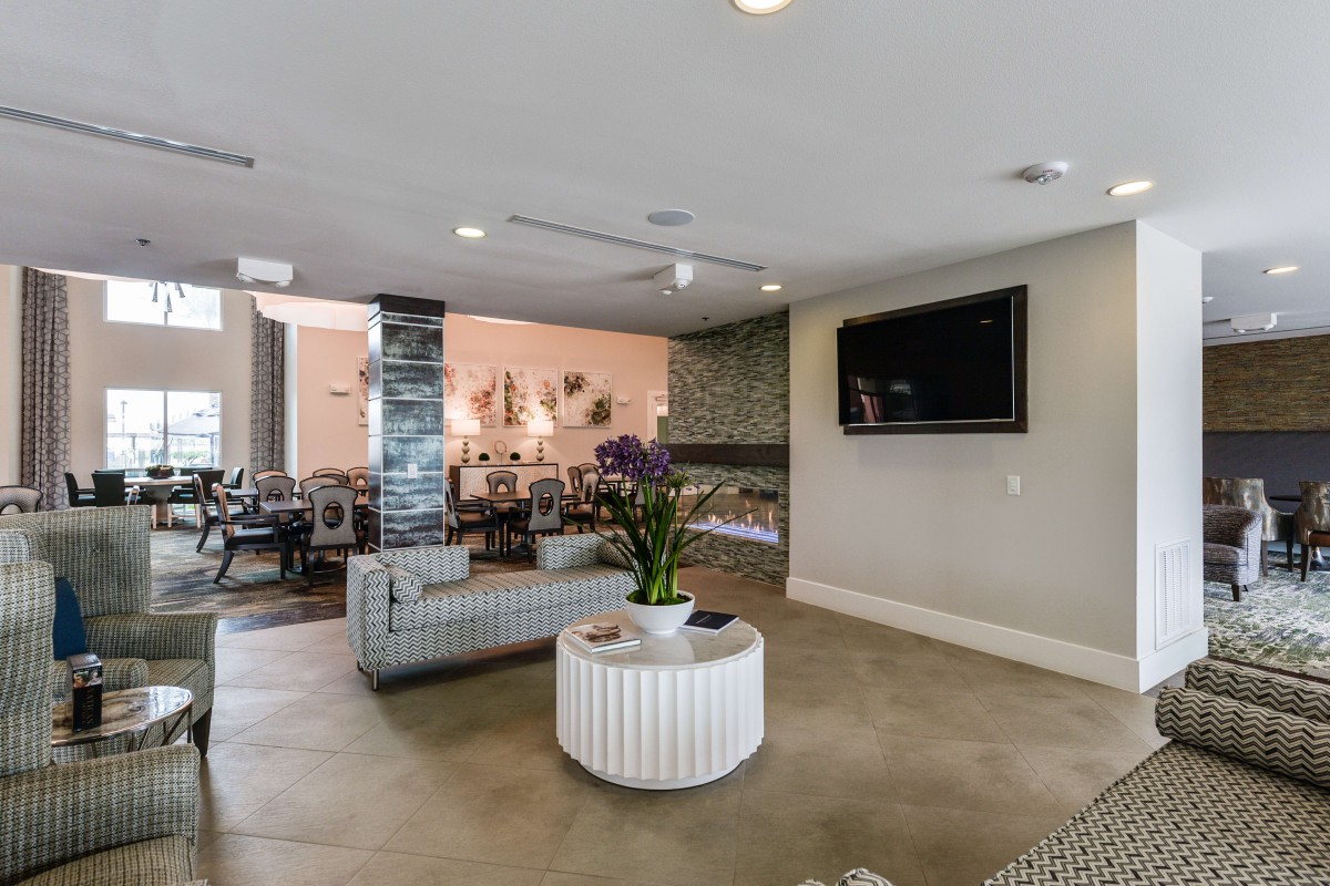 A modern living room featuring sleek furniture, a mounted television, and decorative elements including a coffee table with a potted plant.