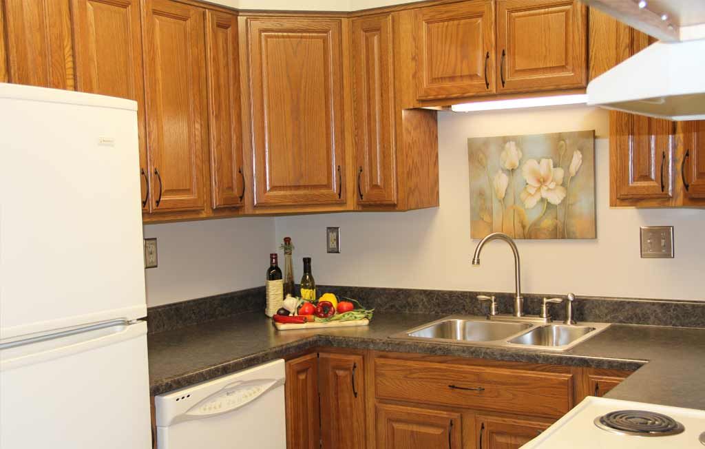 A modern kitchen with wooden cabinets, a sink, and decorative elements on the countertop.