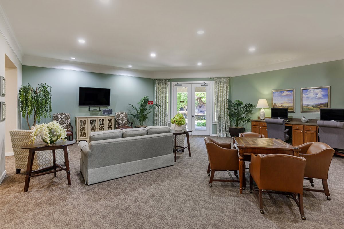 A cozy living room with a sofa, television, and indoor plants.