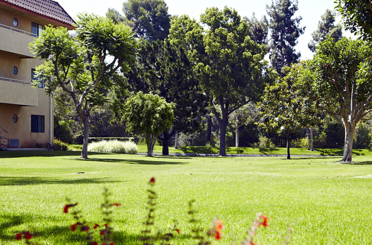 Town & Country Manor