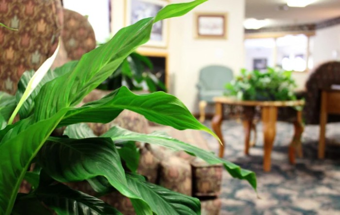 Shell Rock Senior Living