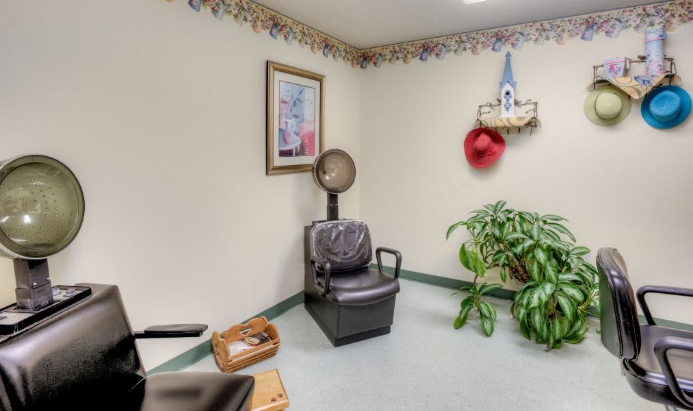 A cozy waiting room featuring a salon chair, decorated walls, and greenery.