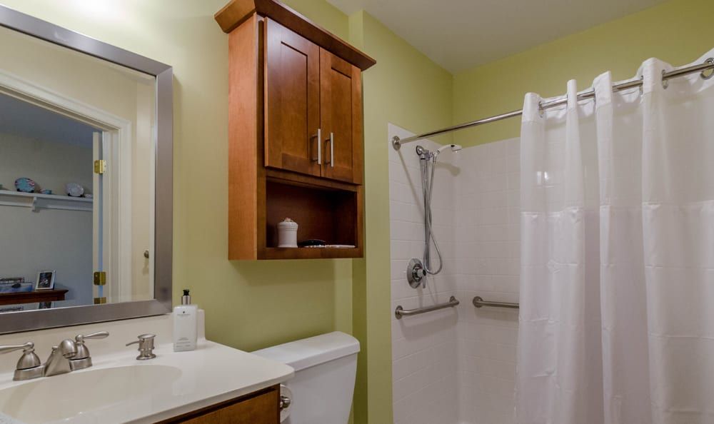 A bathroom featuring a shower with a curtain, a toilet, a sink with a mirror, and a wooden cabinet above.