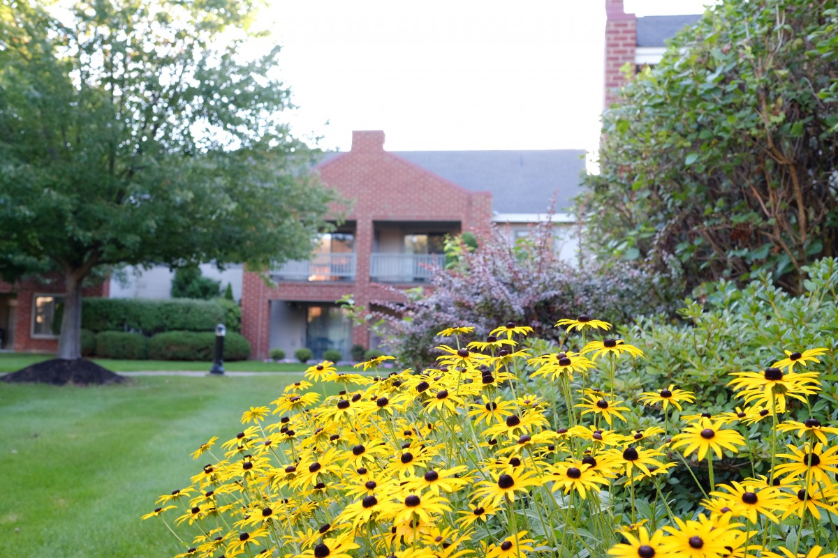 The Terrace at Beverwyck