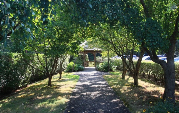 A shaded walkway surrounded by lush trees in a peaceful garden.