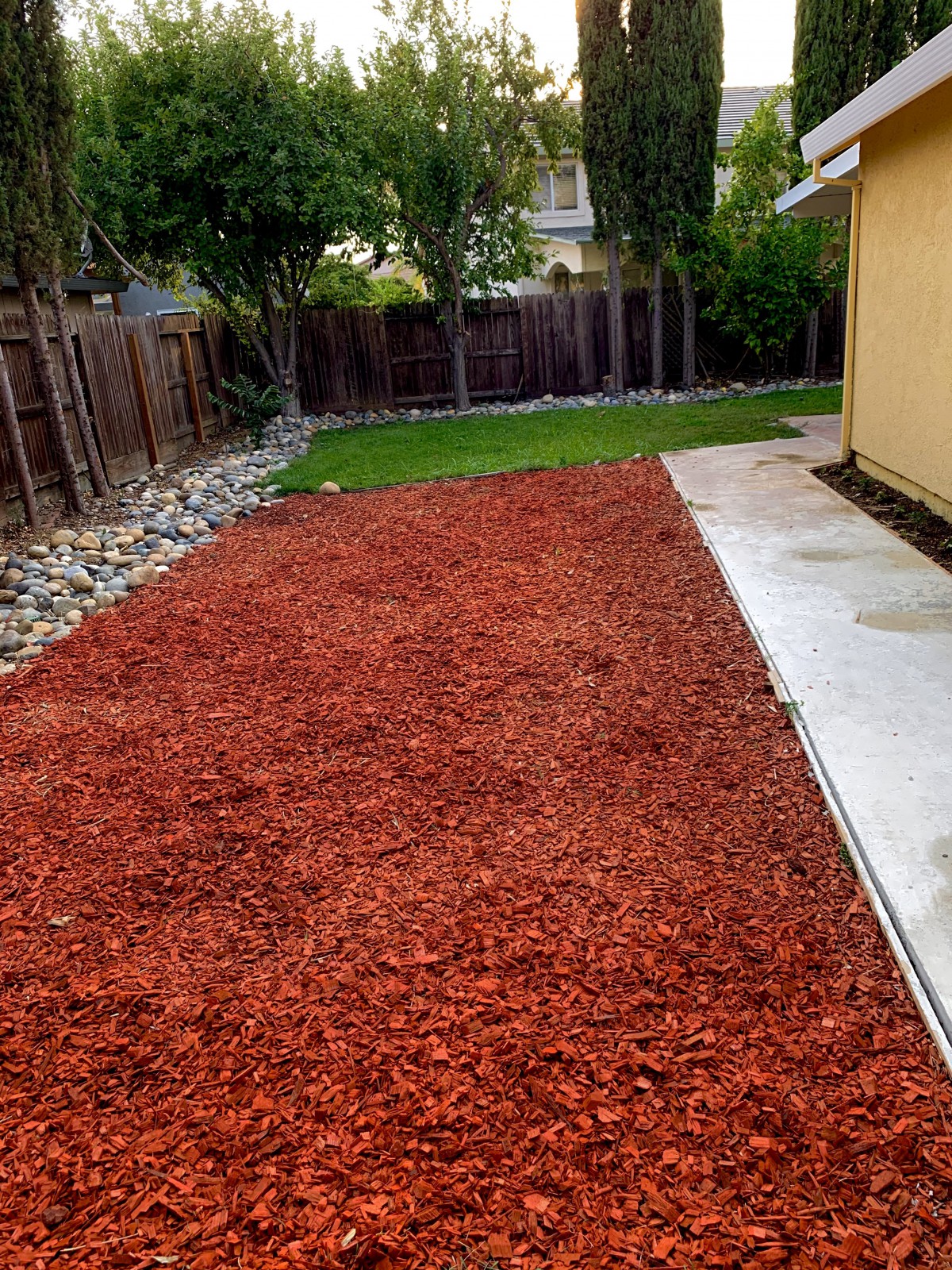A landscaped backyard with newly laid mulch and a stone pathway.