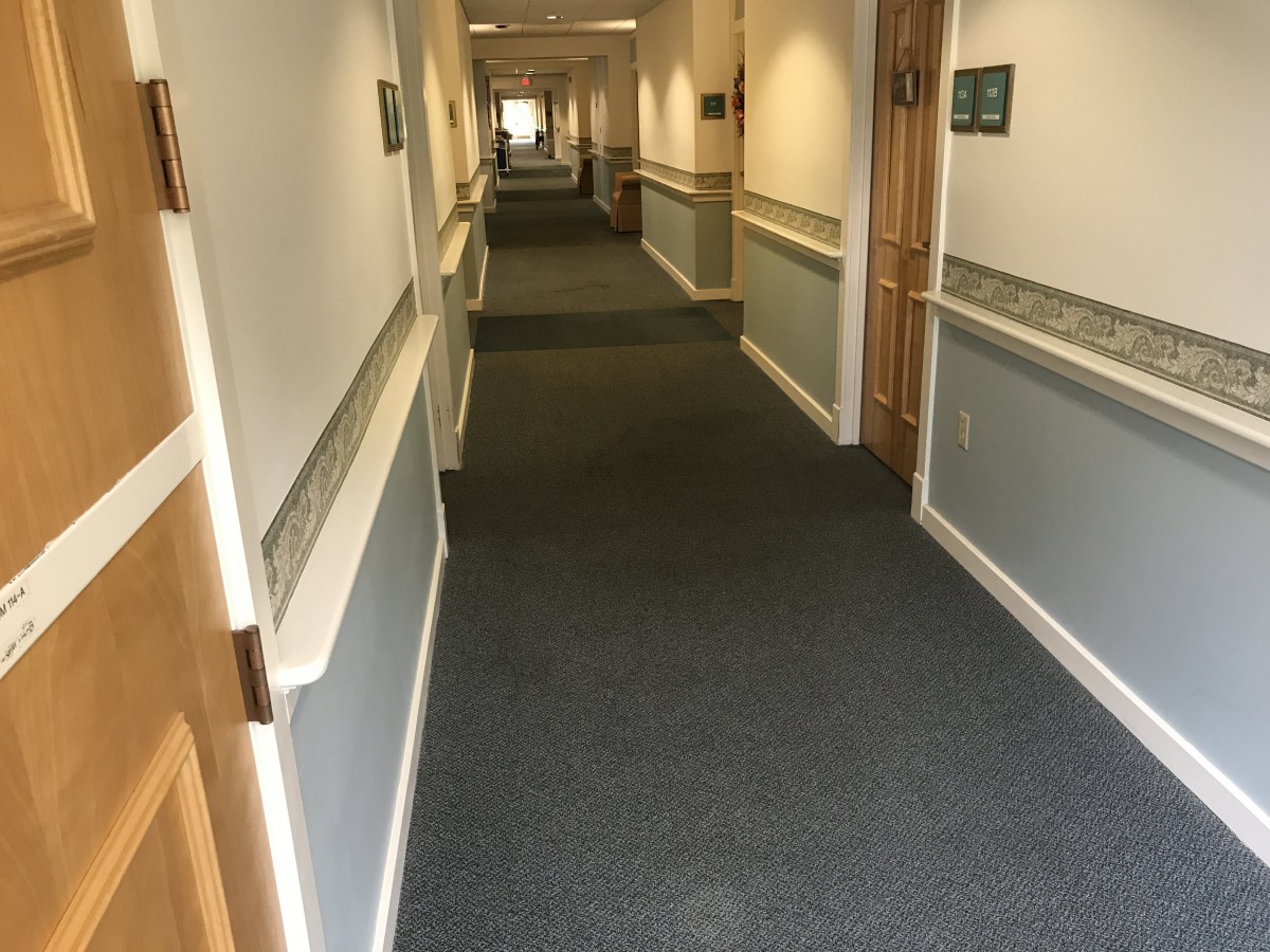 A long hallway with carpet and multiple doors on either side.