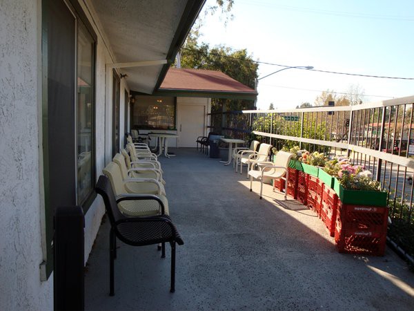 A sunny patio with rows of chairs and plants lining the fence.