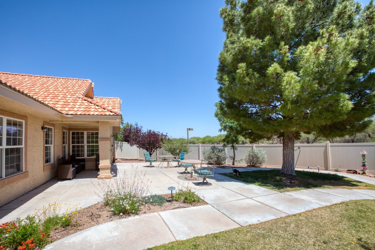A sunny backyard with a patio area and a large tree.