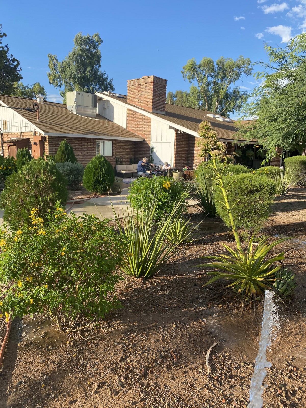 A residential house surrounded by a well-maintained garden on a sunny day.