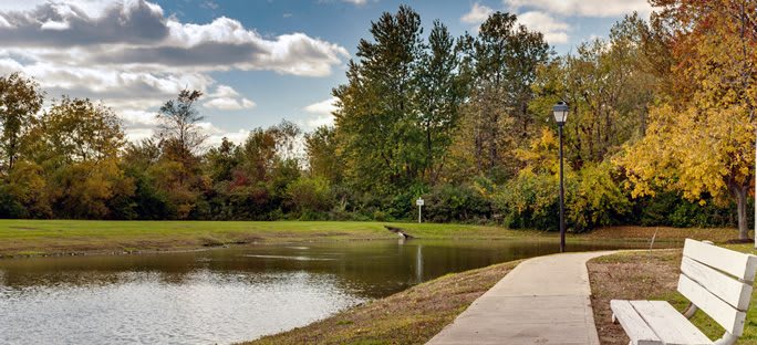 A peaceful park scene with a calm lake surrounded by trees and a clear sky.