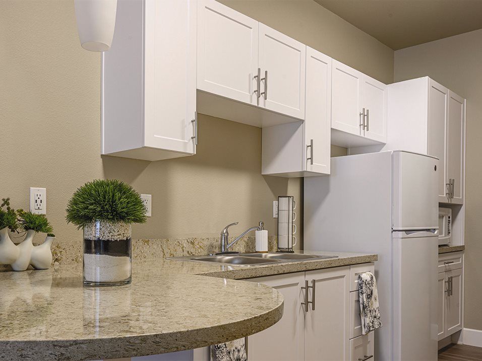 A modern kitchen with white cabinets and a sleek countertop.