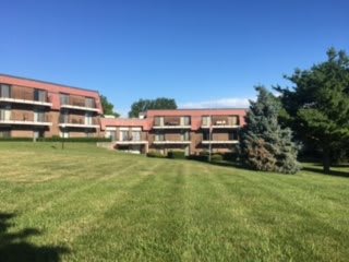 A view of residential apartment buildings with a large grassy lawn and trees under a clear blue sky.