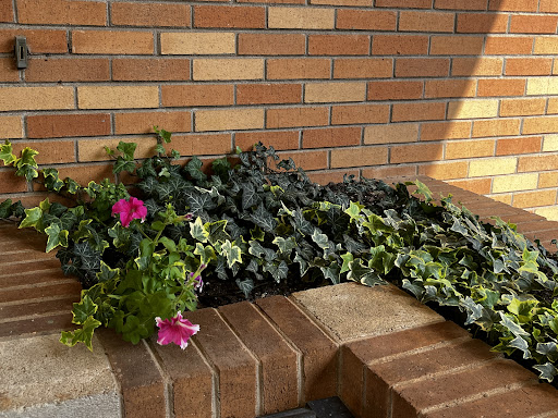 A beautiful arrangement of green plants and vibrant flowers against a brick wall.