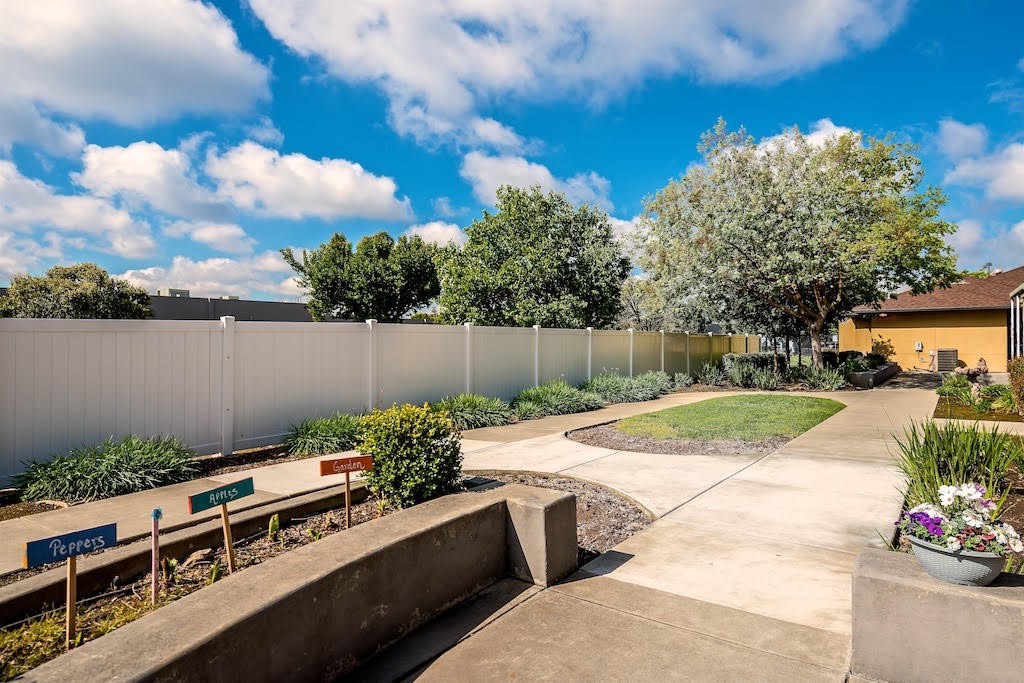 A serene backyard garden with a paved pathway and lush trees under a cloudy blue sky.