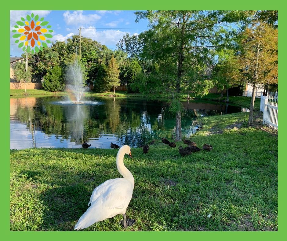 Seasons Belleair