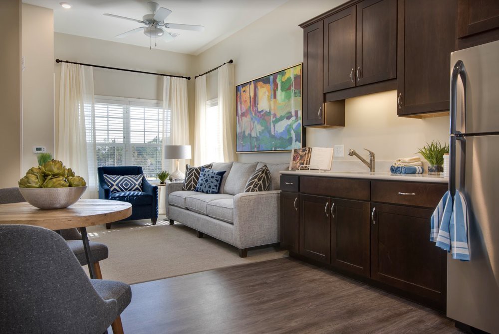 A modern living area with a comfortable sofa, armchair, and a small kitchenette.
