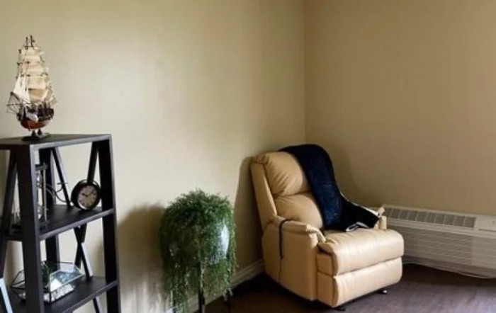 A cozy corner with a beige recliner, a plant, and a black shelf in a living room.