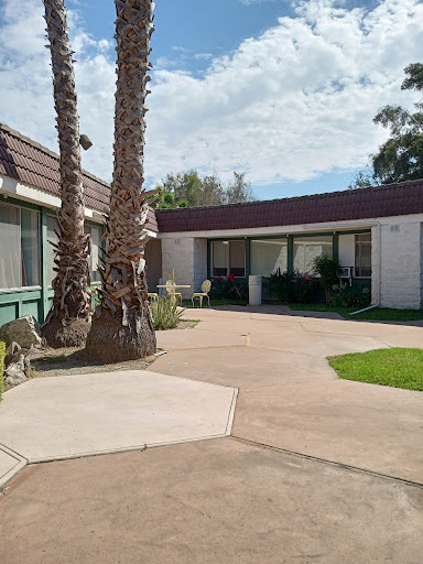 A serene courtyard featuring palm trees and green grass, surrounded by buildings under a sunny sky.
