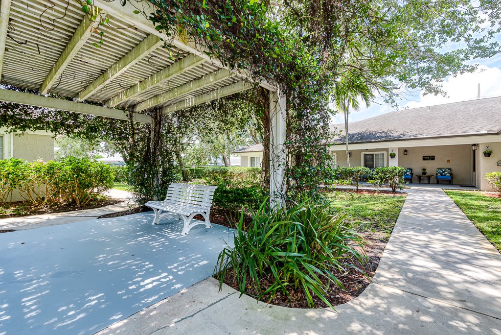A peaceful outdoor area featuring a pergola adorned with vines, a white bench, and well-maintained landscaping.